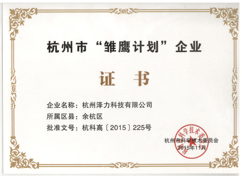 雛鷹計(jì)劃證書(shū)